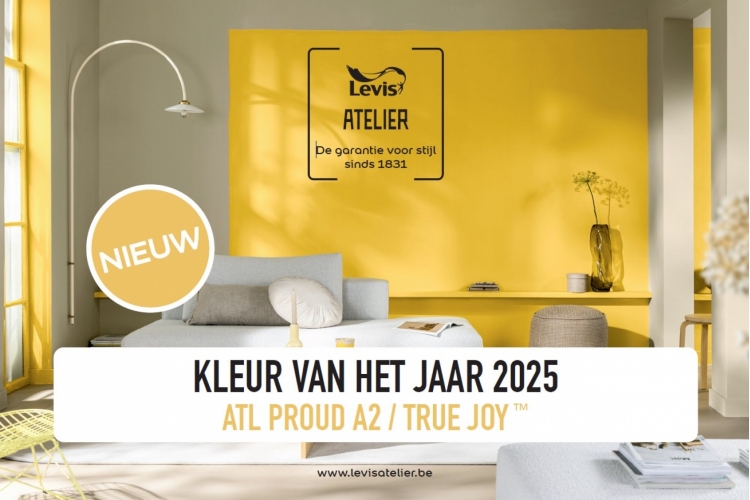 Levis Kleur van het Jaar 2025 - True Joy&trade;